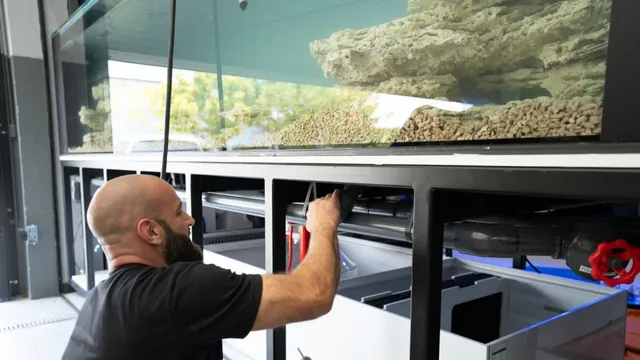 Large Aquarium Assembly